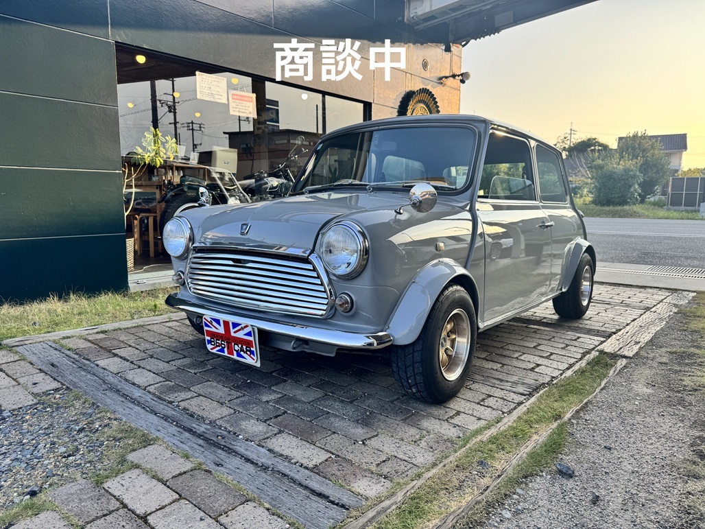 ローバー | ミニの画像